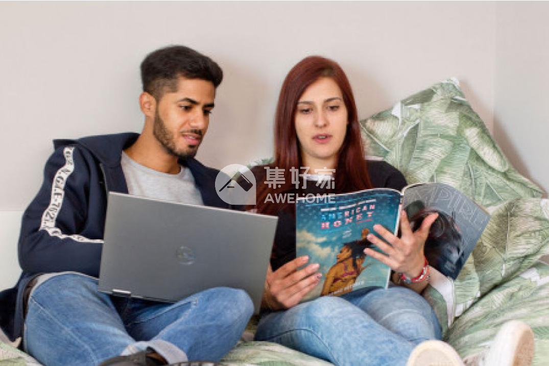 斯特灵大学知乎