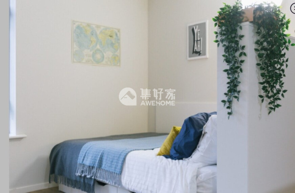 斯旺西大学校园附近的租房行情调查与分析