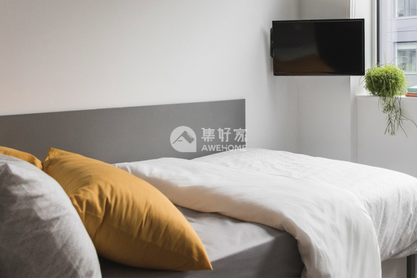 英国之美：兰卡斯特和纽卡斯尔