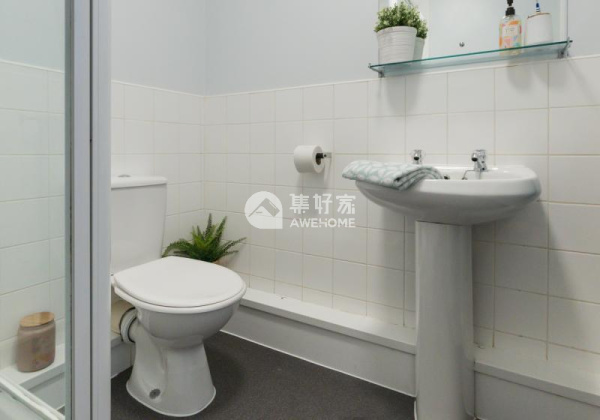 西伦敦大学在世界排名