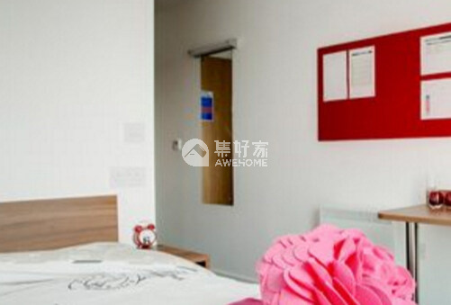 伦敦商学院MBA：开启职业新篇章