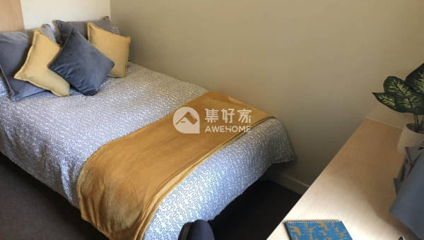 伦敦商学院研究生