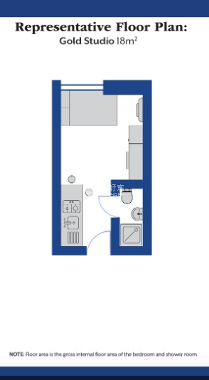 伦敦国王学院住宿攻略