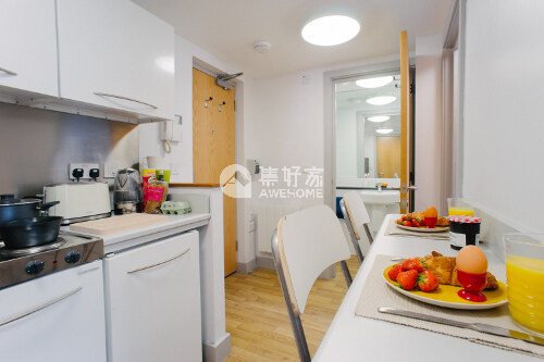 纽卡斯尔公寓大全：全面解析你的理想居住选择